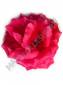 ***Роза атласная крупная 5 сл 20 см (Р) (Бел, кр, роз, жел, сир)