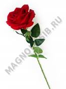 Ветка бархатной розы 65 см (крас)