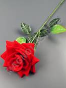 Роза бархатная одиночная 62см