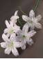 ***Ветка лилии 5 цветков 90 см МИКС (Бел, Желт, Сир, Мал, Кр, Гол) 