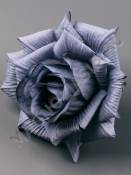 Роза высокая рифленая неткан 6сл 12см ( кр крем бел т-крас роз корал перс оран сир син граф микс)/К