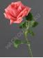 Ветка флористической розы 65см (бел перс корал роз оран т-крас син граф сир)