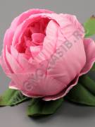 Пион шаровидный Тайфун хлопок 8сл 10см (бел сир свек роз перс борд микс)