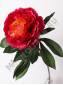 Пион натуральный шелковый 75 см (крас малин роз)
