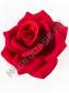 Роза Барселона темно-красный бархат 4сл 13см/К 