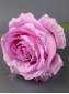 Роза шёлк с пенопластом 10см (бел персик св-роз сир малин крас борд)