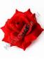 Роза красная с золотом бархат 5сл 15.5см/К