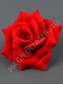  Роза бархатная 4сл., 15см (К) Красный 