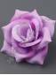 Роза Мери бархатная цветная 4сл 15см (бел мал син сир)
