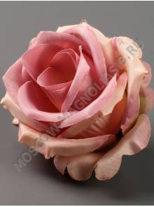 Роза Кружевная 7см сатин (мол крас гол перс роз-крем пеп-сир