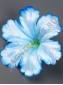 Мальва атлас 1сл 14см (бел крас гол жёл фиол роз) в комплекте
