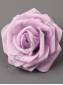 Роза латексная  7,5см (мол бел  роз сирен)