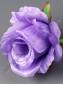 Роза полураскрытая атлас 6сл 9см (крас бел жёл лайм св-роз сир чай син микс)/К