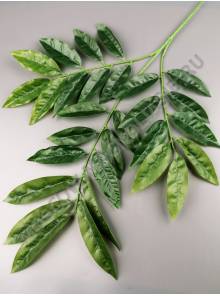 Ветка манго натурального вощеного 3 ветки  65см