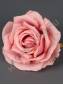 Роза с пенопластом 7 см(крас,роз,желт,бел)
