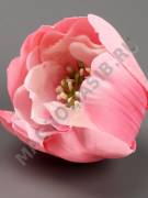 АКЦИЯ Тюльпан махровый 3сл 9см(бел мал перс роз сир)