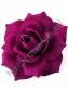 Роза бархатная цветная 5сл., 15 см (К) (Мал,Борд,Кр, Син, Сир, Микс)