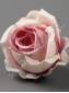Роза Кружевная кустовая 6см сатин (мол крас крем роз-мол сир)