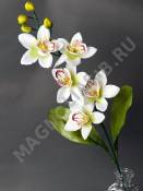 Ветка орхидей 5цвет+4бут 66см ( бело-зеленый, молочно-сиреневый )