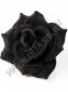 ***/ Роза бархатная черная  4сл., 14.5 см (К) (Черн)