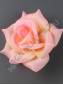 Роза неткан 4сл 15.5см (бел крас виш син сир оран перс микс)