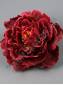 ***Роза атласная 6сл.,12.5 см. (К) Сиреневый