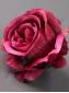 Роза Чайная полураскрытая хлопок 6сл 11см (бел б-роз кр лайм перс роз сир слив микс)