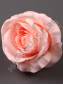 Роза Кремовая флористическая с пенопластом  8 см (бел крем роз крас борд)