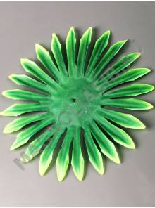 Подразетник лист игольчатый со светлой кромкой нетк 14см