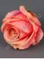Роза флористическая полубутон с пеной 8,5 см (бел крем крас роз мал корал )