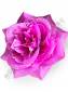 Пионовидная роза 7сл 13.5см (бел крас син сир роз жел)