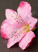 Лилия-орхидея хлопок 12см (крас бел роз лайм син оран сир)(тычинка см 2209, 2200)