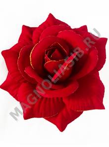***/Роза бархатная бордовая с золотом 5сл 15.5 см(К)