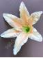 Лилия натуральная хлопок 1сл 17см без тычинки (крас сир перс роз лайм) (тычинка см. 2200. 2203 2211)
